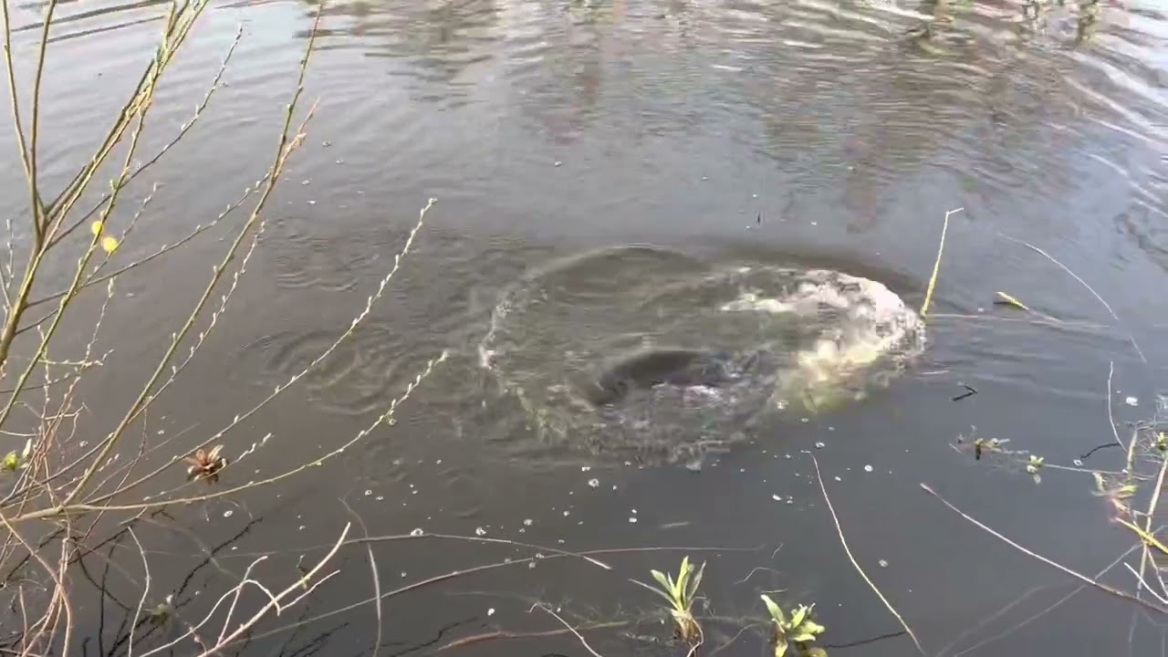 Heerlijk eindelijk voorjaar, nog 2 week dan paaitijd 🥲