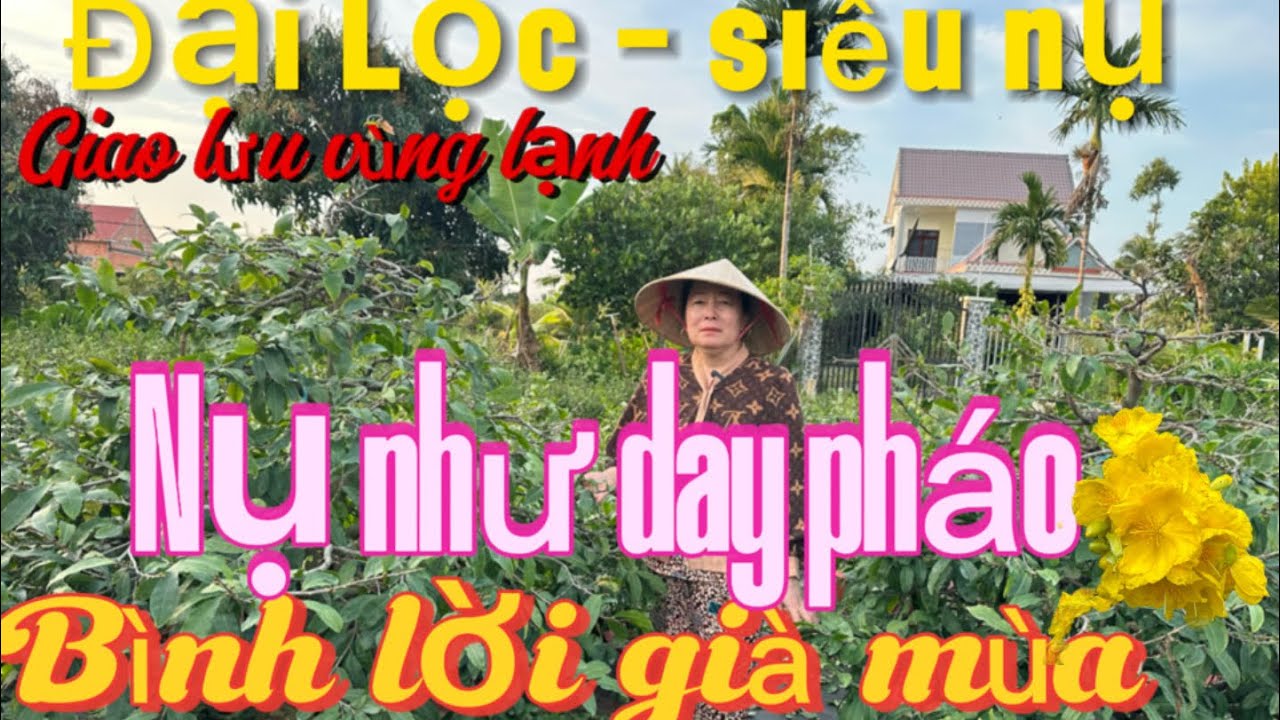 1-2☎️0983240457📲chị tho 🌲Mai vùng lạnh 