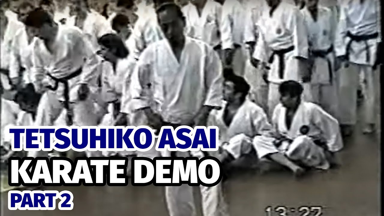 Tetsuhiko Asai. Danger Within. Shotokan Karate Demonstration, Moscow 1996 (part 2)