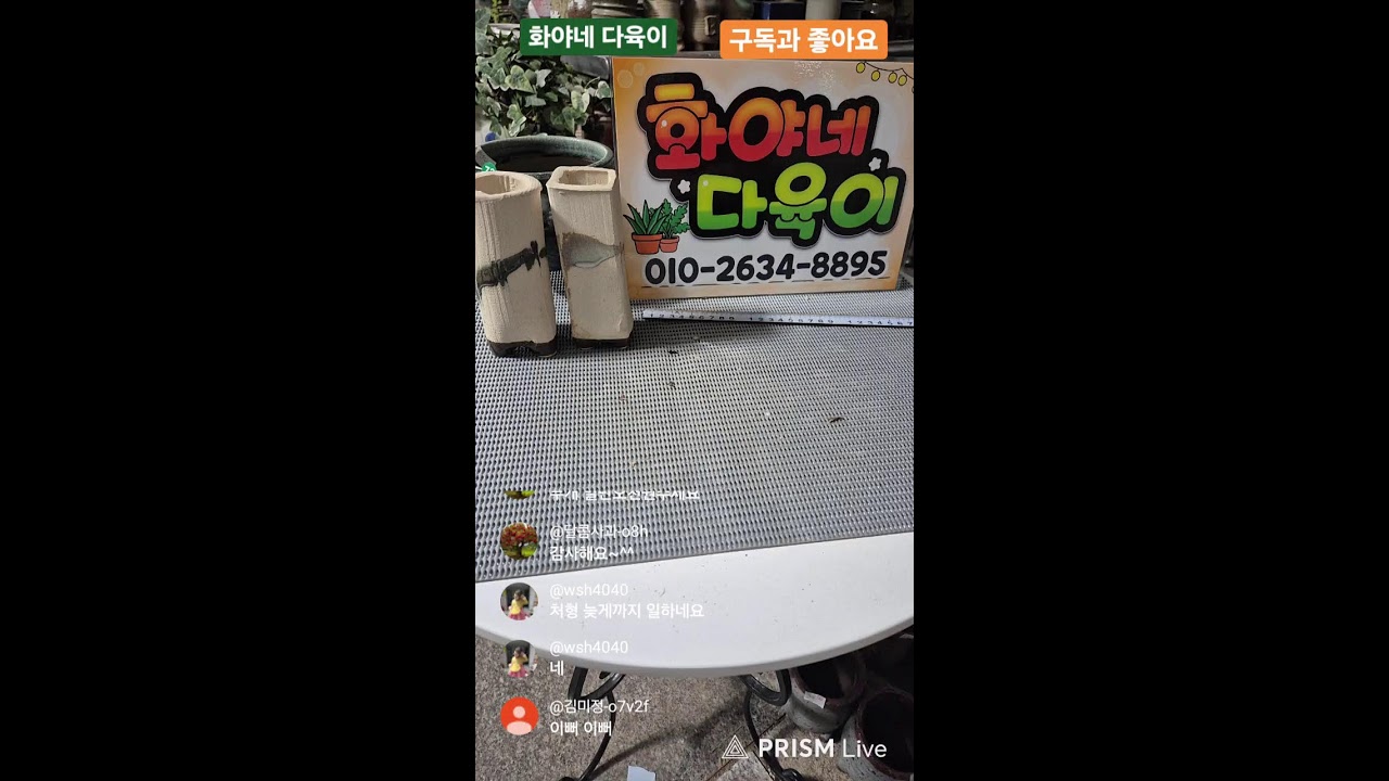 새화분판매.중고화분 자리빼기.다육이 판매