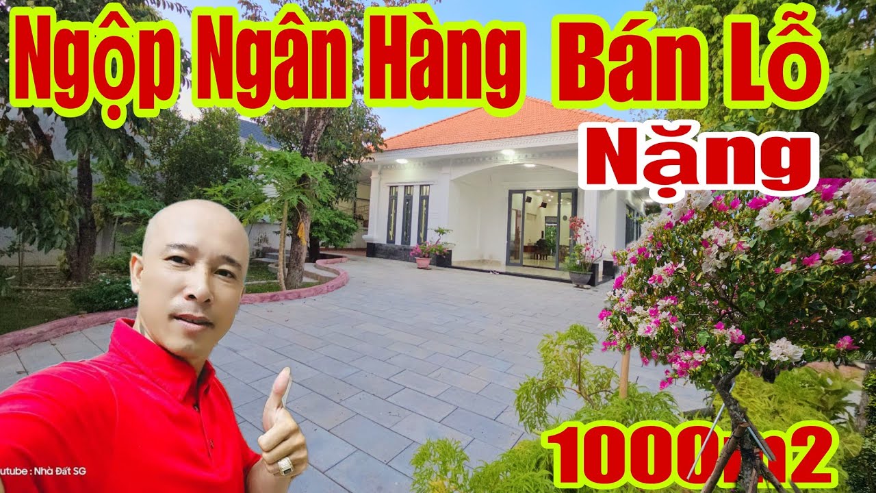 🛑Biệt thự 1000m2 mặt tiền đỗ đăng tuyển ngộp ngân hàng bán lỗ nặng giá quá rẻ | #bietthusaigon