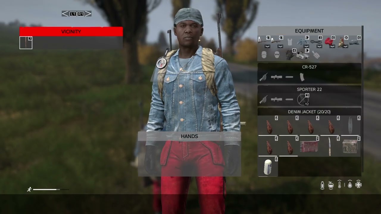 DayZ offi
