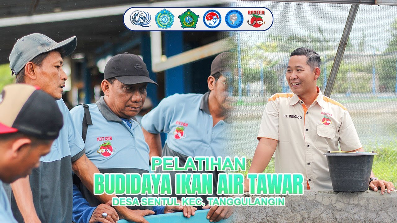 Pelatihan Budidaya Ikan Air Tawar Desa Sentul, Kec. Tanggulangin Di P2MKP Fish Boster Centre