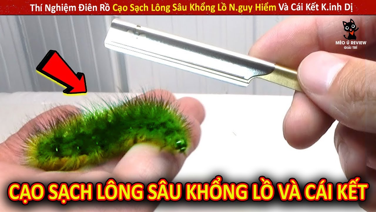 Thí Nghiệm Điên Rồ Cạo Sạch Lông Sâu Khổng Lồ N.guy Hiểm Và Cái Kết K.inh Dị