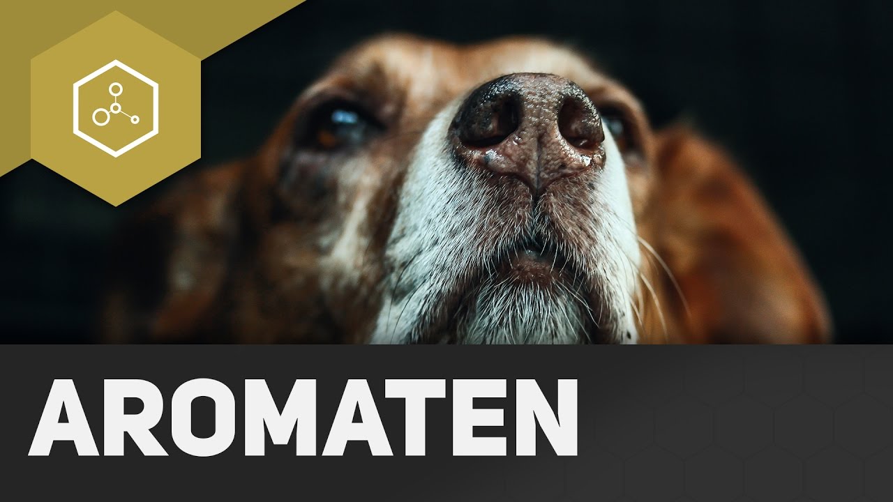 Aromaten - Einführung
