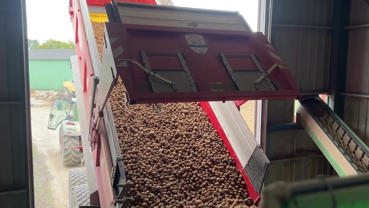 Déterreur avec trieur optique  pommes de terre