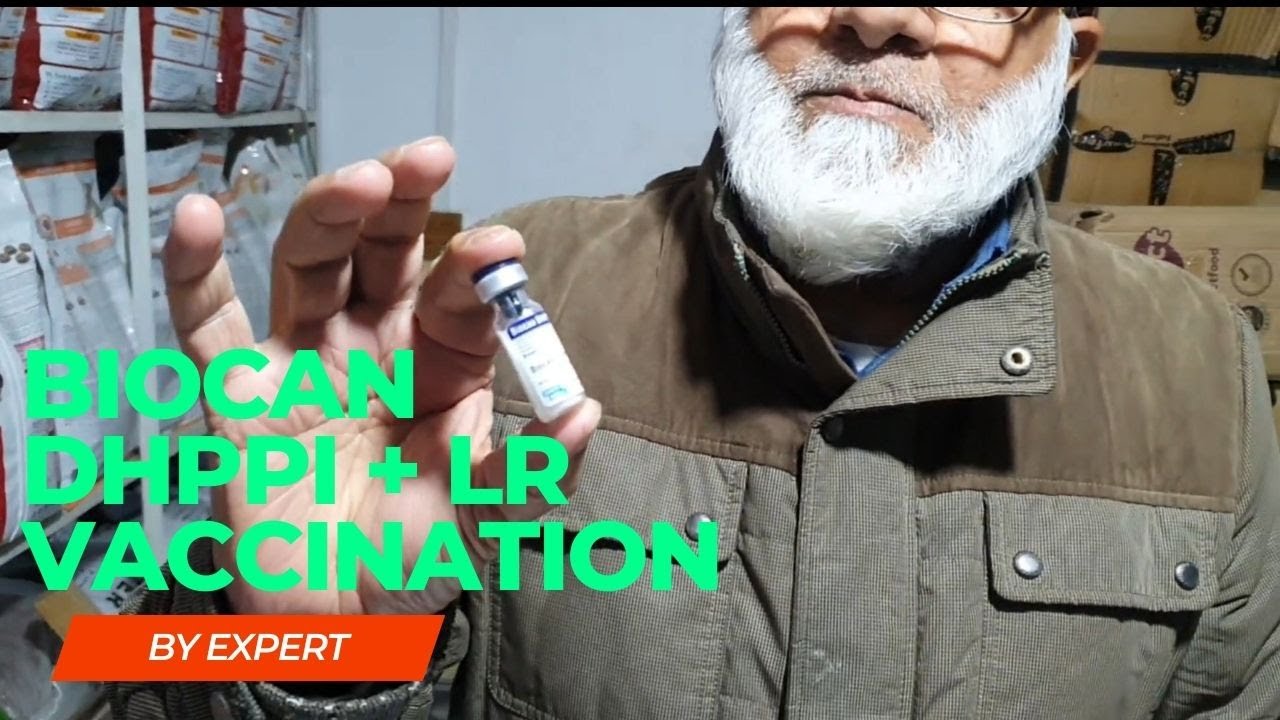 Biocan DHPPi + Biocan LR | Bestest Vaccination | for Every kind of Dog Breed