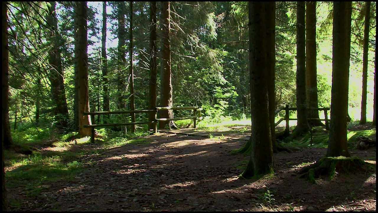 Südschwarzwald