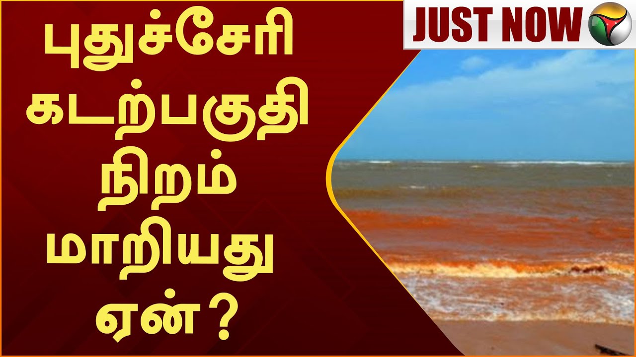 புதுச்சேரி கடற்பகுதி நிறம் மாறியது ஏன்? | Puducherry |  Beach in Puducherry turns red | PTT
