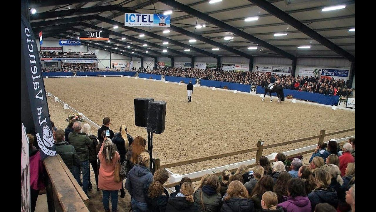 Patrik Kittel The Top of Dressage 2019