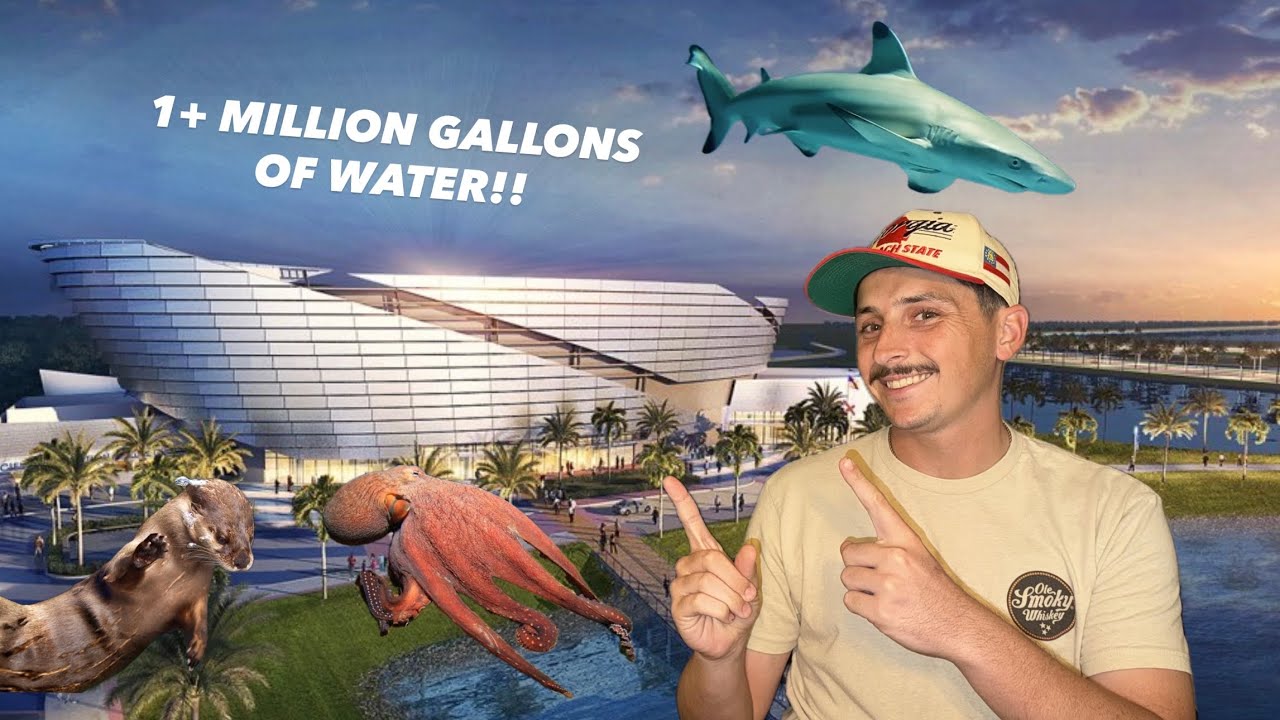 MOTE AQUARIUM Grande Opening Tour!!