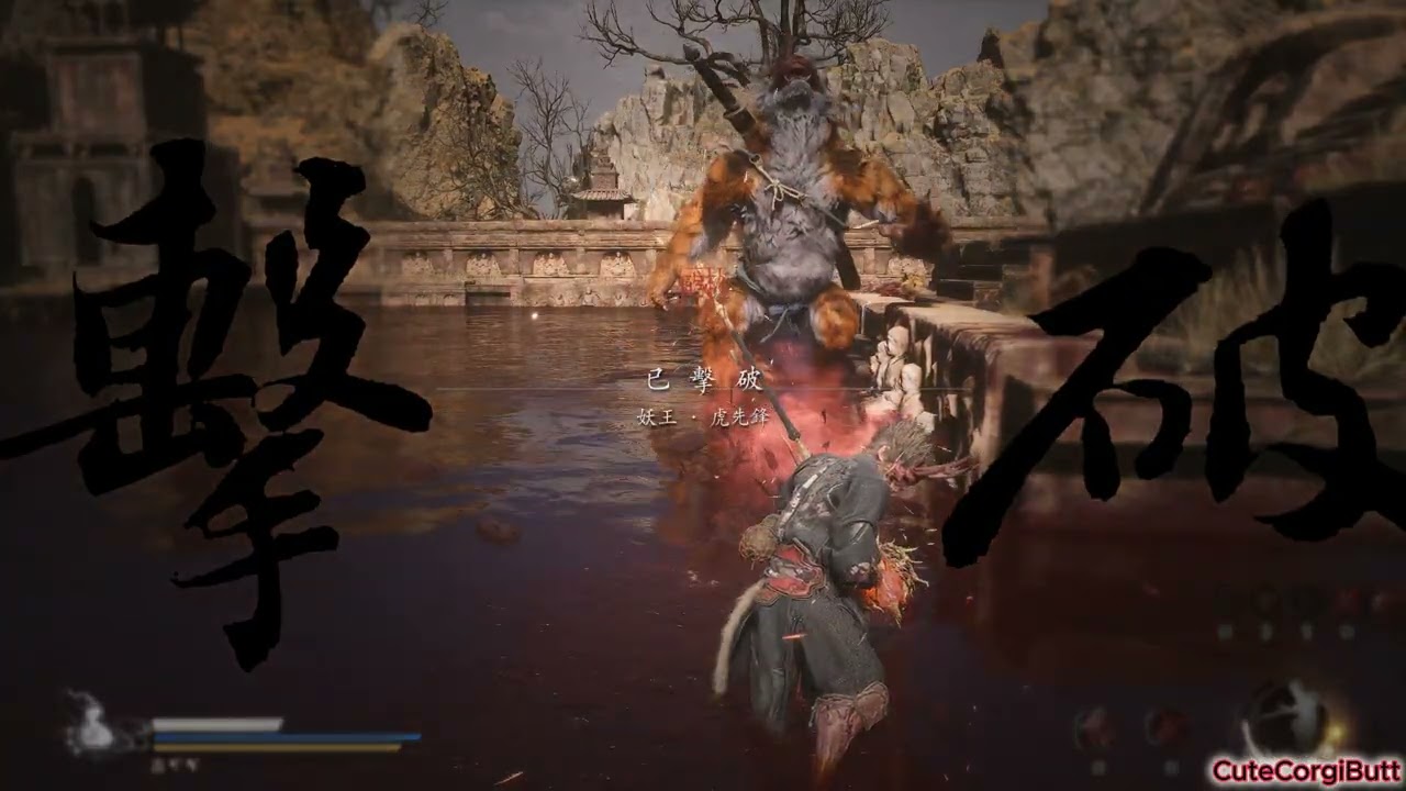 九豆挑戰 : 小橘 虎先鋒    9 Curses challenge: Orange Tabby Vanguard