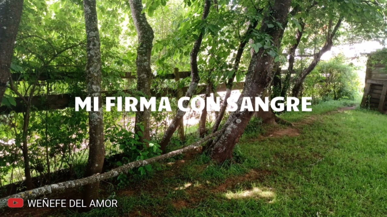 El Weñefe Del Amor - Mi Firma Con Sangre
