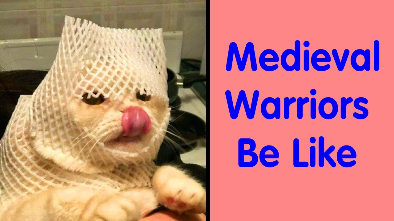 Hands-Down Funniest Pics Of Cats From The &lsquo;Cat Virus.Exe&rsquo; Instagram Page - Funny Cat