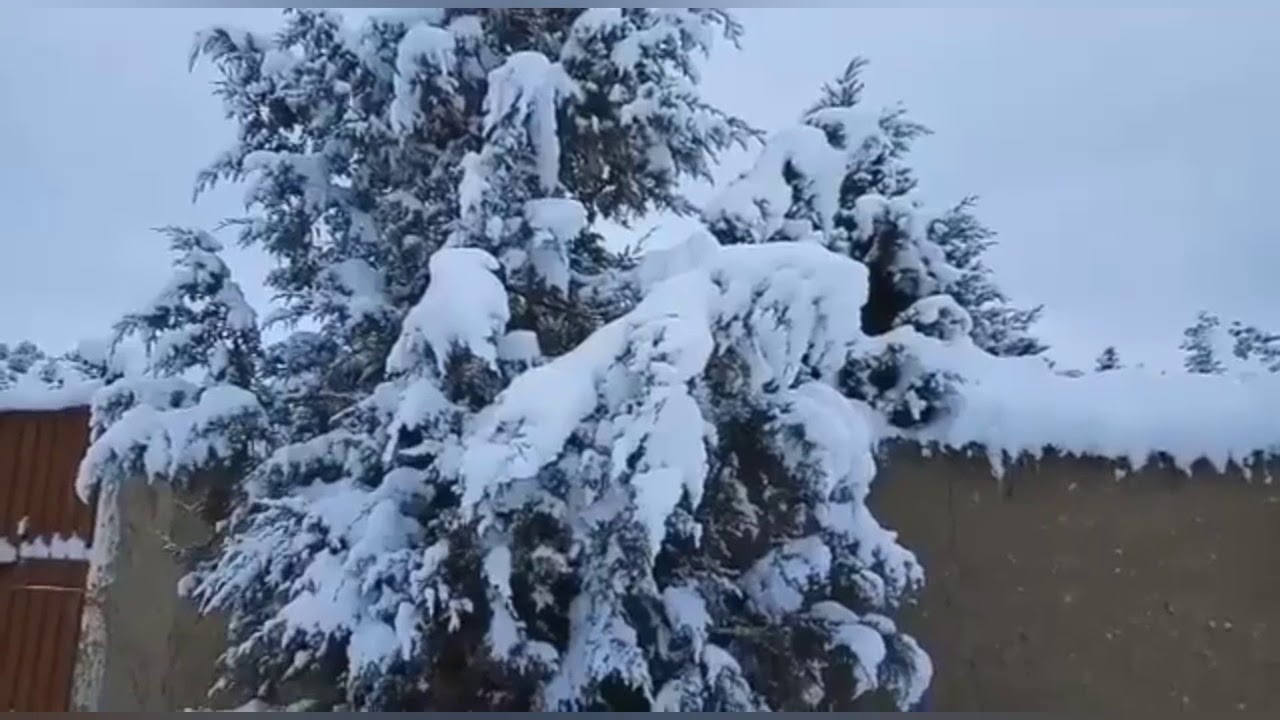 Ziarat Snowfall 2020 2021 | heavy snowfall in Ziarat Balochistan Pakistan |