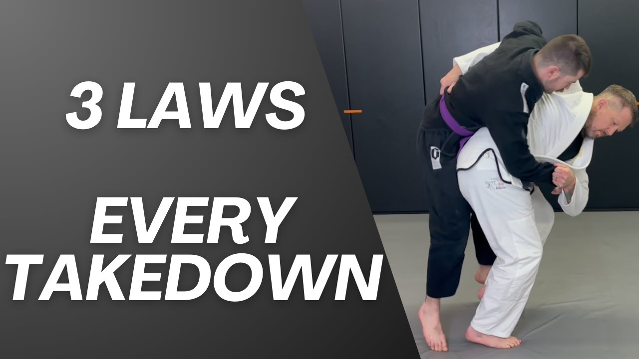 The 3 Laws of Every Takedown