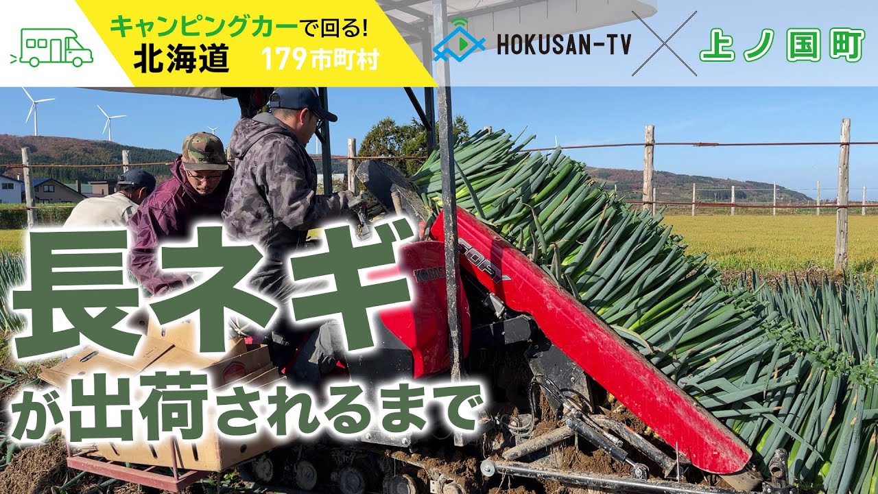 【上ノ国町】試行錯誤の長ネギ収穫から選別までと大豆の乾燥と収穫～北海道キャンピングカー冒険 123/179市町村