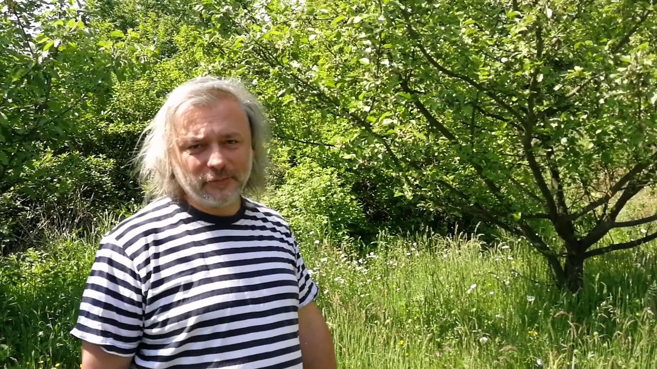 Polska Łąka Kwietna po 11 latach