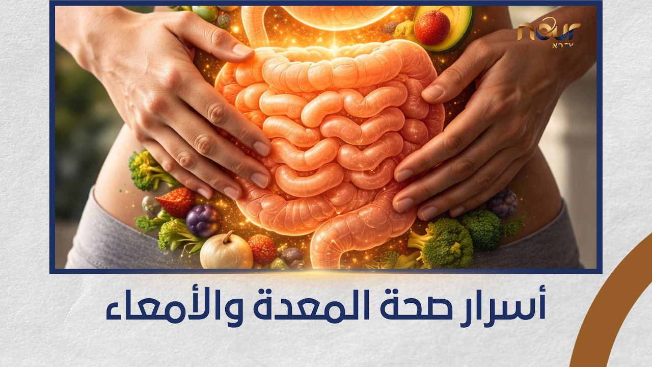 نور الشفاء| المعدة والأمعاء.. بوابة الصحة