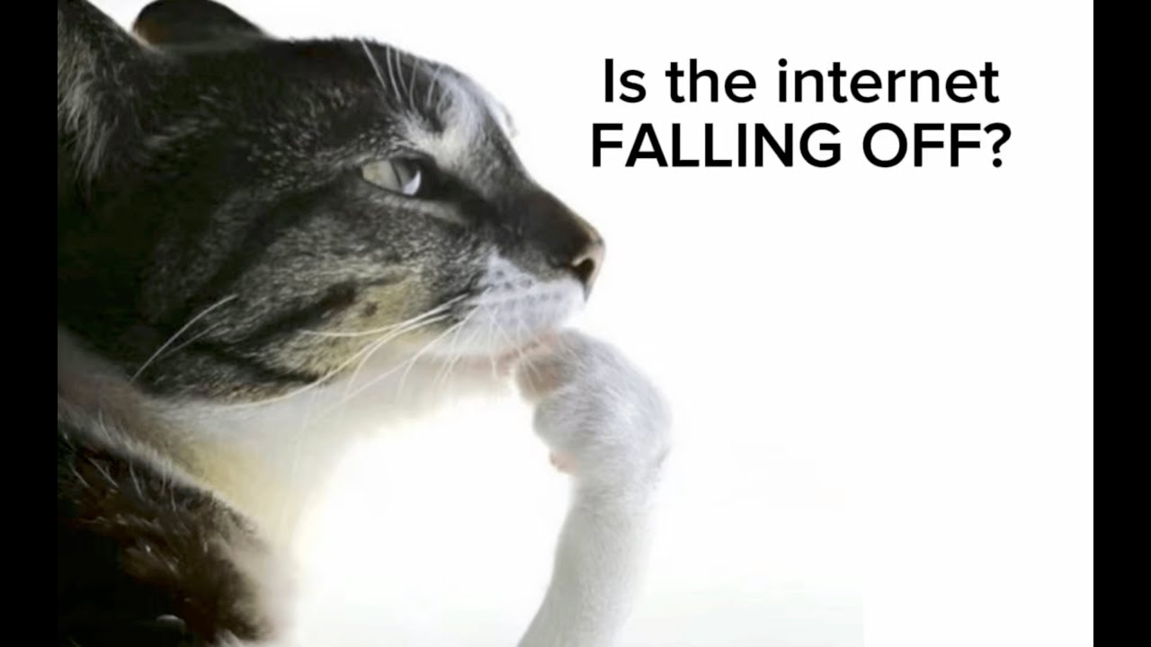 The Vulturistic Nature of the Internet has me Confuzzled
