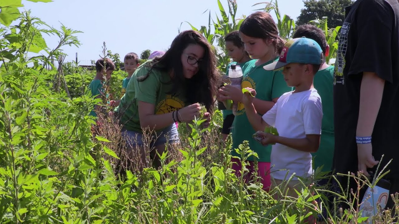 Celebrating Stony Kill Farm & Stony Kill Foundation