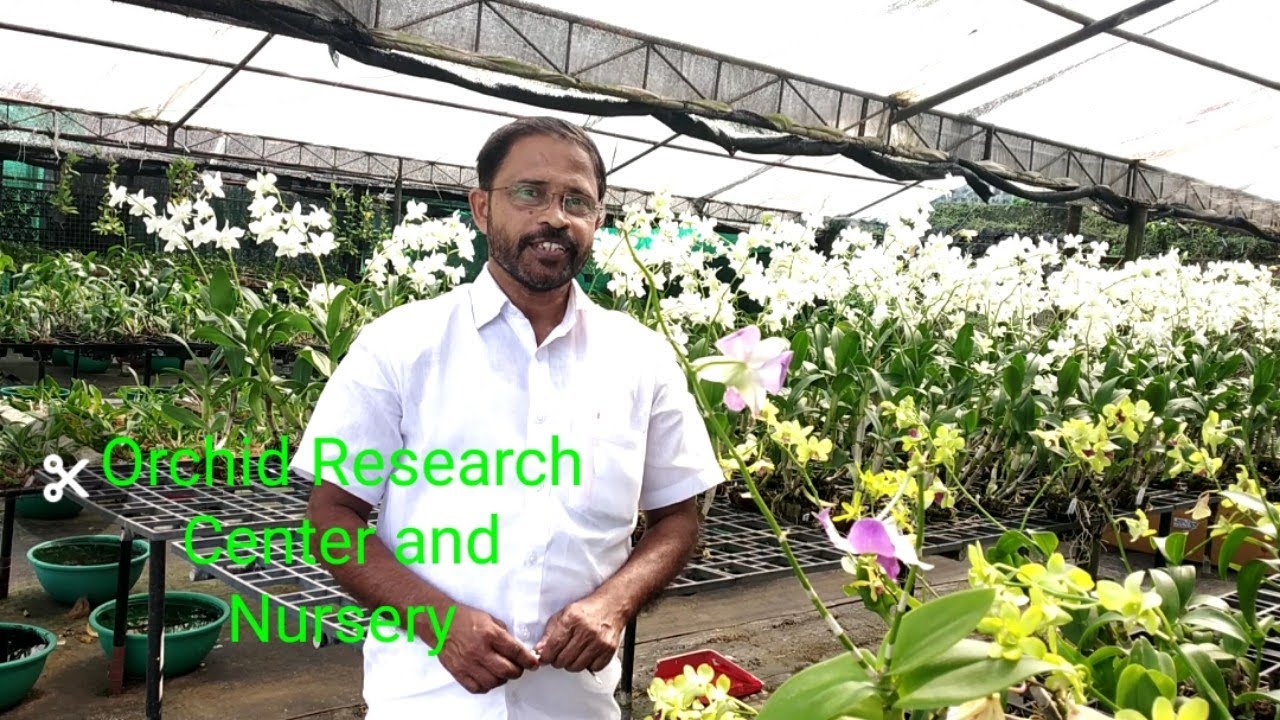 Orchid Nursery Visit with price.