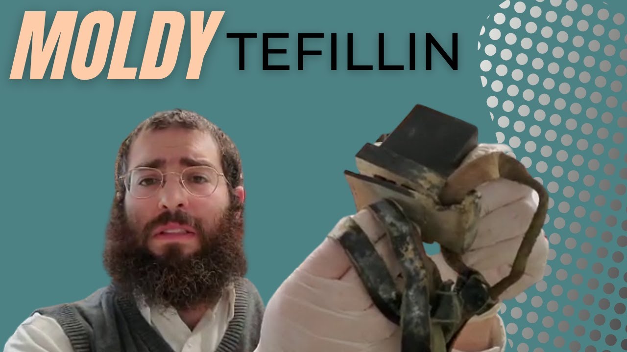 Moldy Tefillin! Are they Kosher?