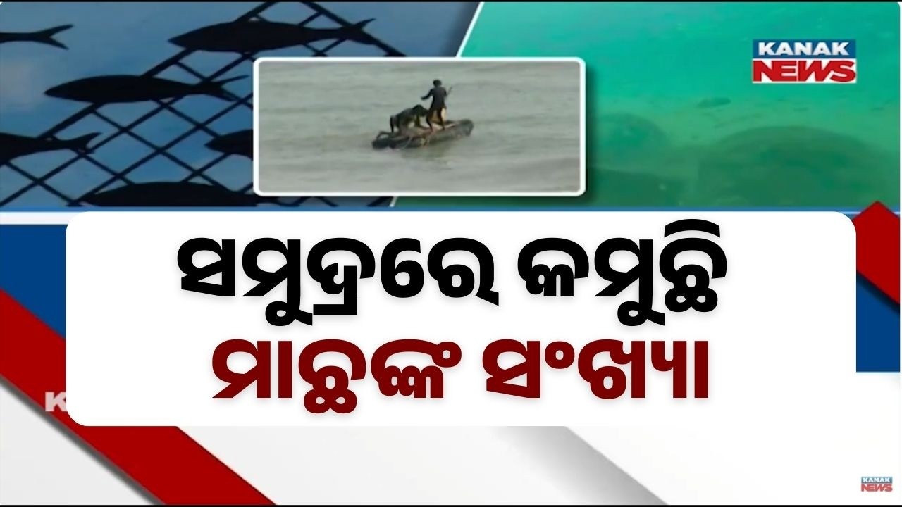 Artificial Fish Habitats Created Along 155 Km Coast in Odisha | Big Step to Save Marine Life