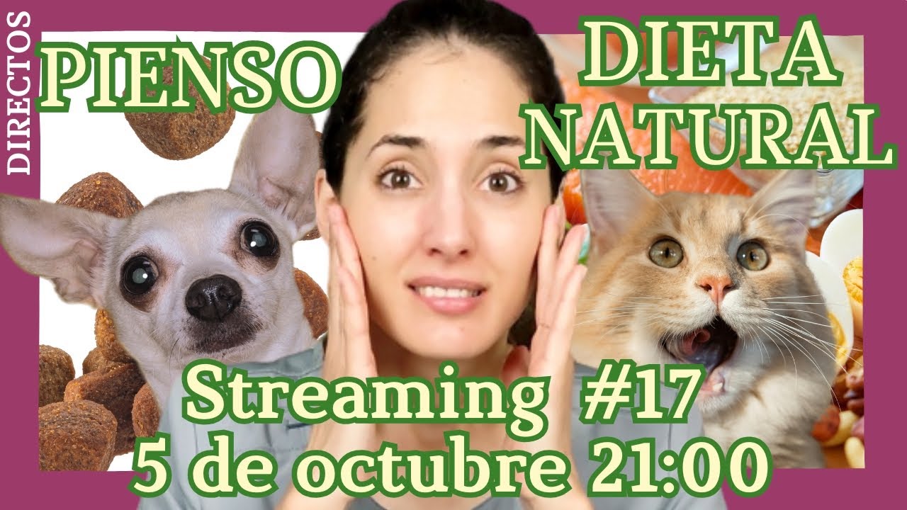 Tu Veterinaria -Directo 17º- | Pienso VS Dieta Natural