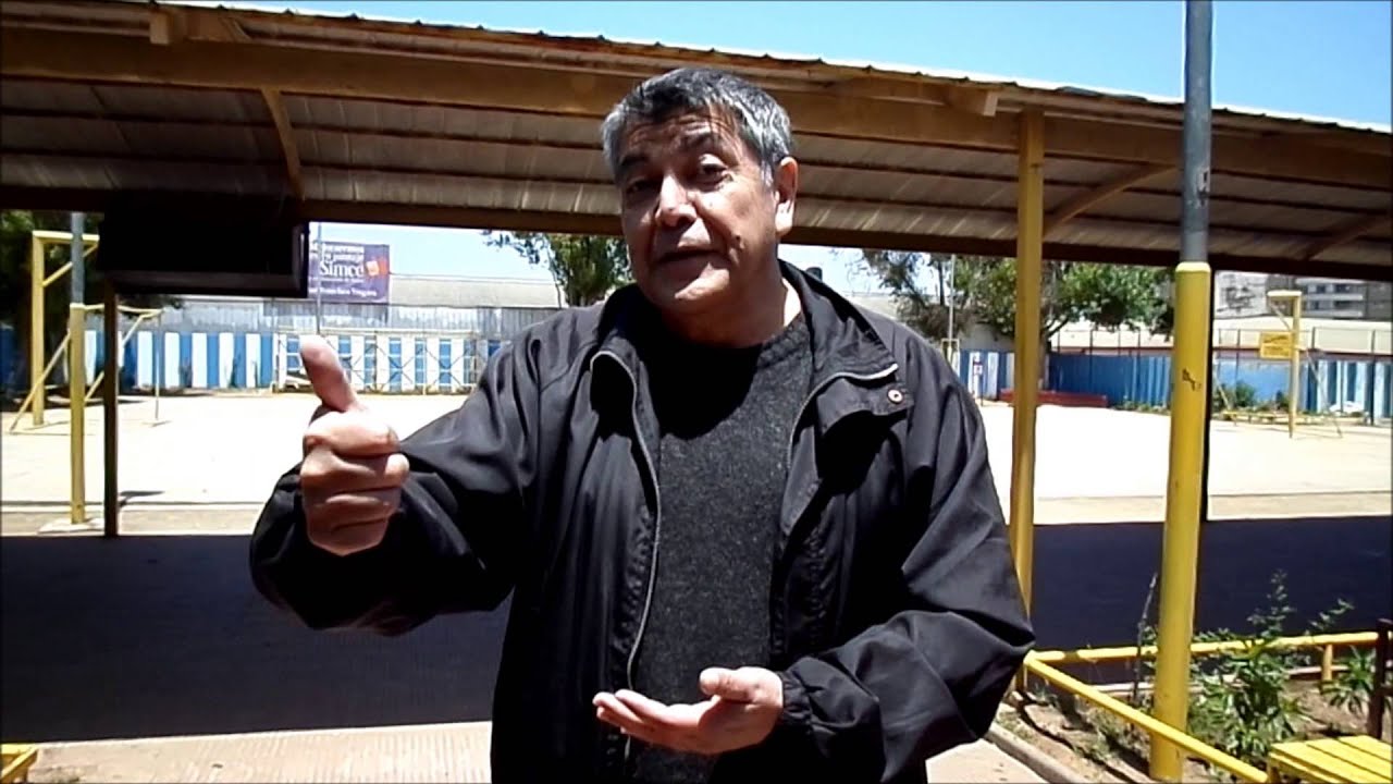 cancion vivir la vida (Lengua de Señas Chilena)