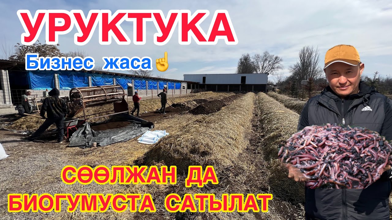 Өтөн жылы 100 тонна БИОГУМУС, 60 тонна СӨӨЛЖАН саткан ишкер