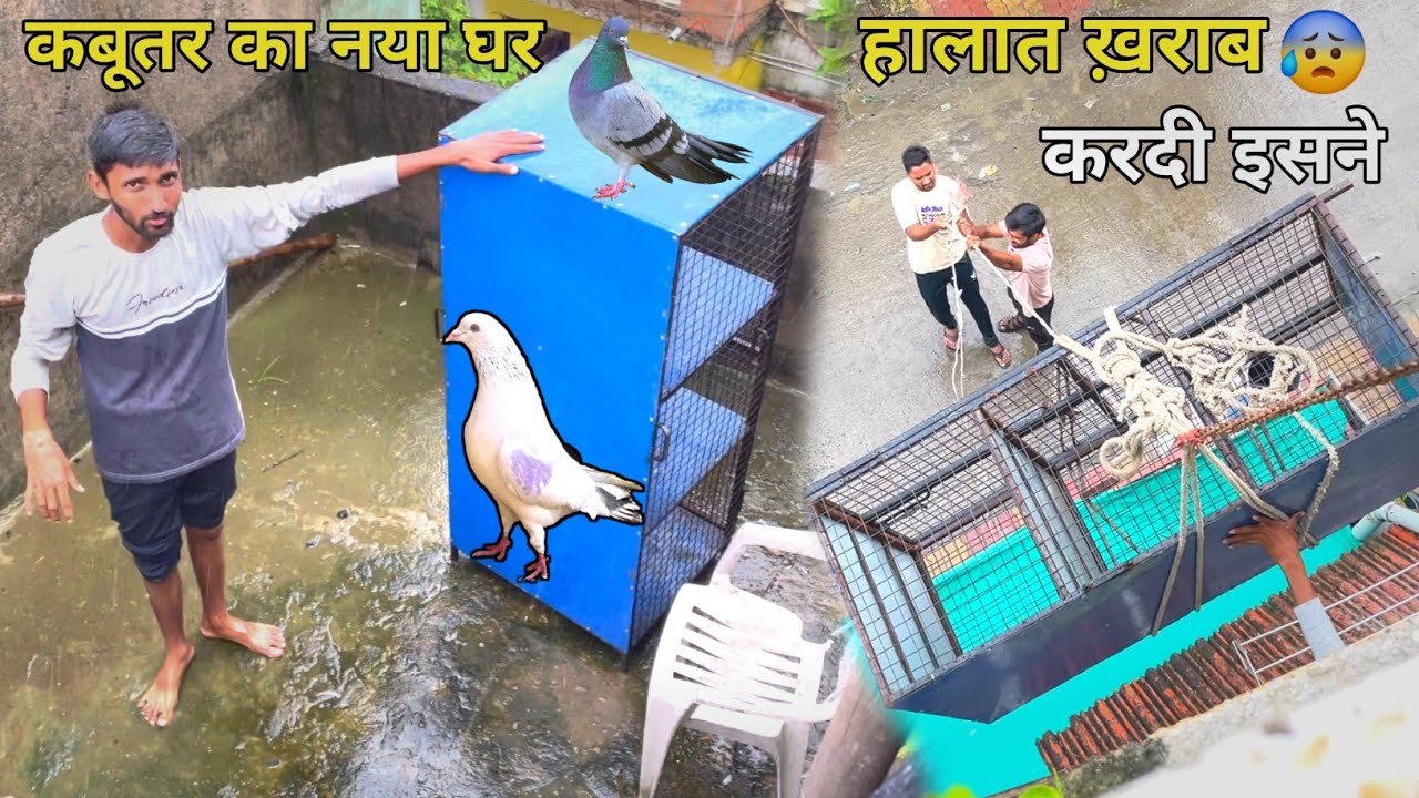 मेरे कबूतर का नया घर || My Pigeon New House🏠 || बहुत परेशानी होगई इसे छत पर लेन मे😫