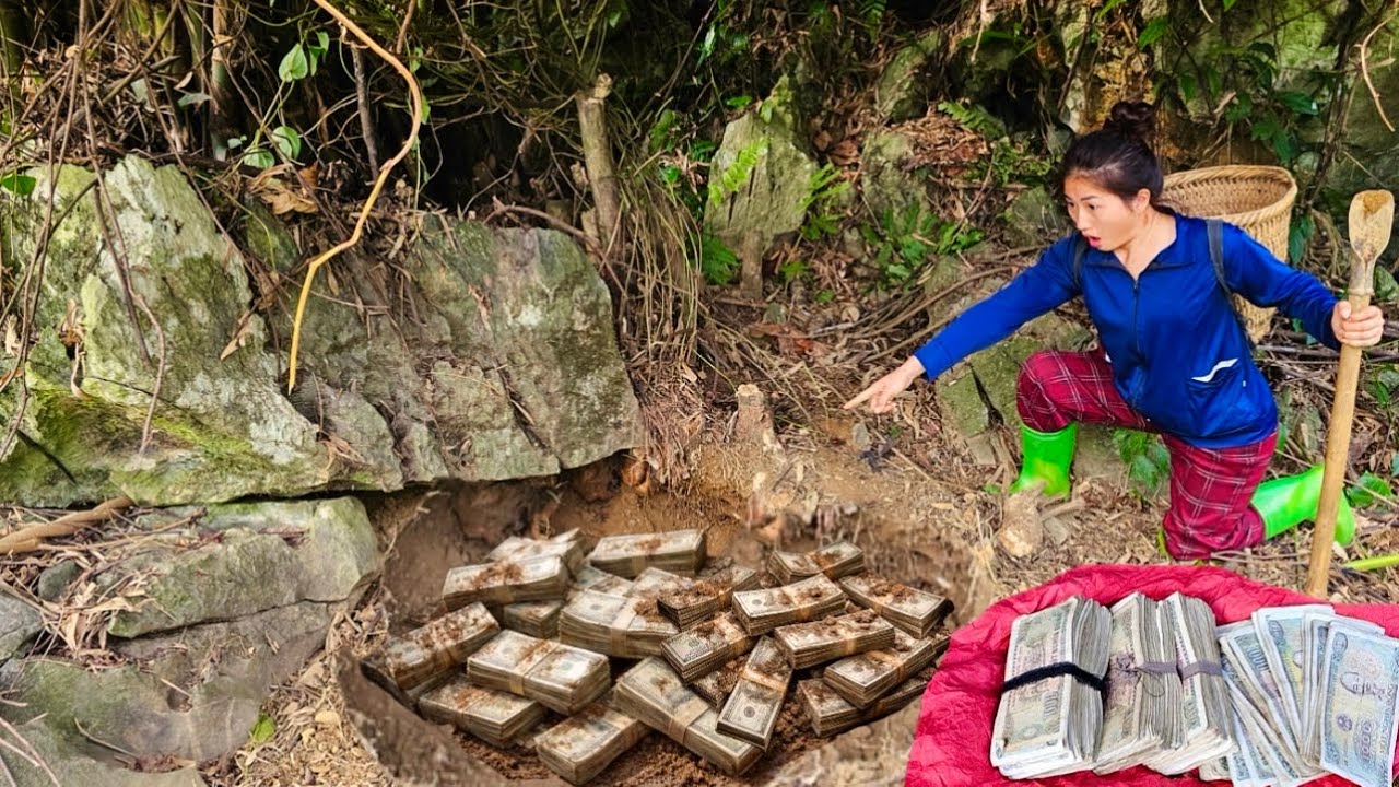 Full video treasure hunt : A treasure has been discovered in a wild potato pit in the forest.