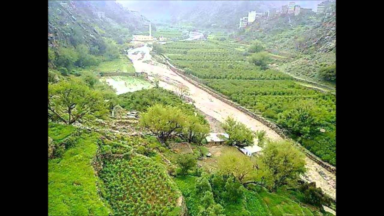 علي بن جابر اليزيدي الخالدي حقي من الدنيا معي