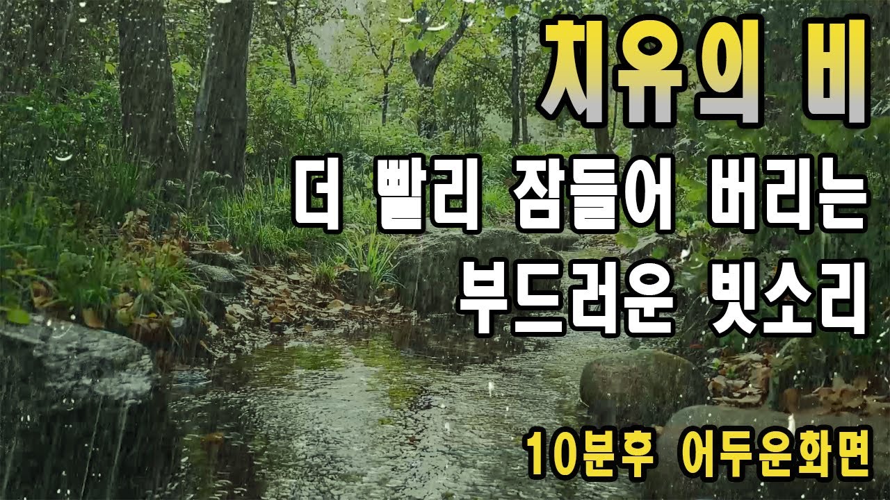 아침고요수목원의 겨울빗소리/ 봄맞이 겨울비, 잠들기 딱좋은 백색소음 ASMR/ 10분후 화면꺼짐