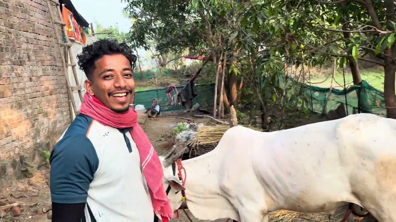 मोहने कोळीवाड्याची मानाची पालखी २०२६ दिवस दुसरा 🙏🏻🚩