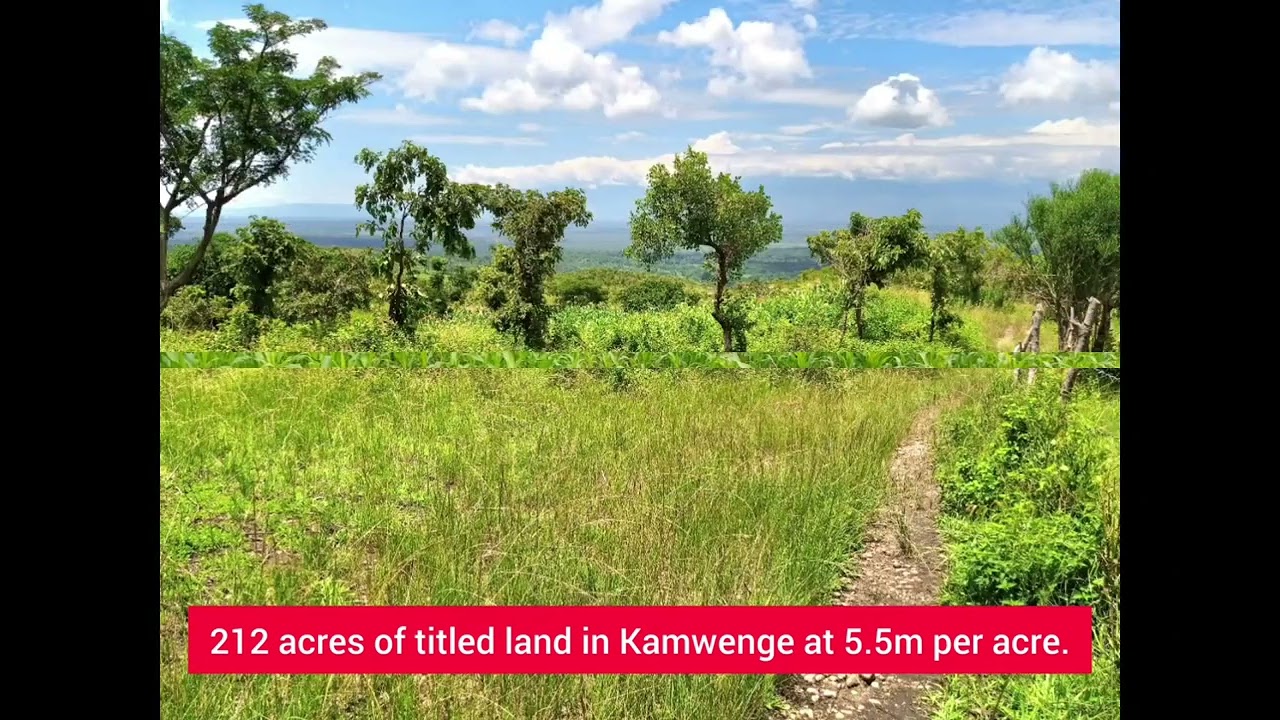 212 acres of titled land in Kamwenge District at 5.5m per acre.  call 0774003629/0706908935