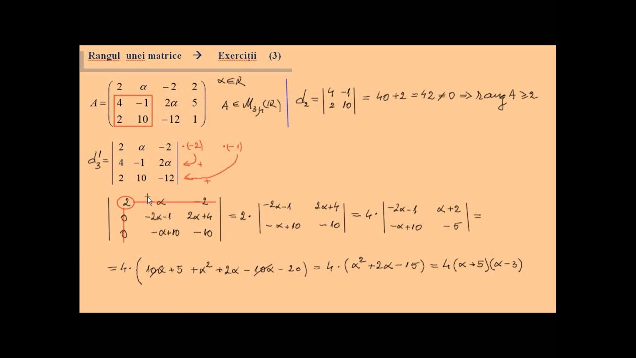Rangul unei matrice - parametru real (3)