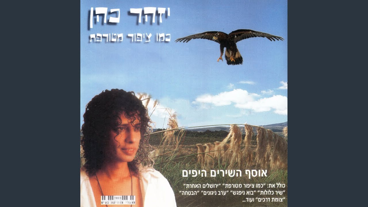 כמו ציפור מטורפת