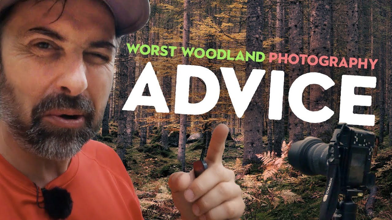 Should you REALLY bring ORDER in the CHAOS in Woodland Photography?