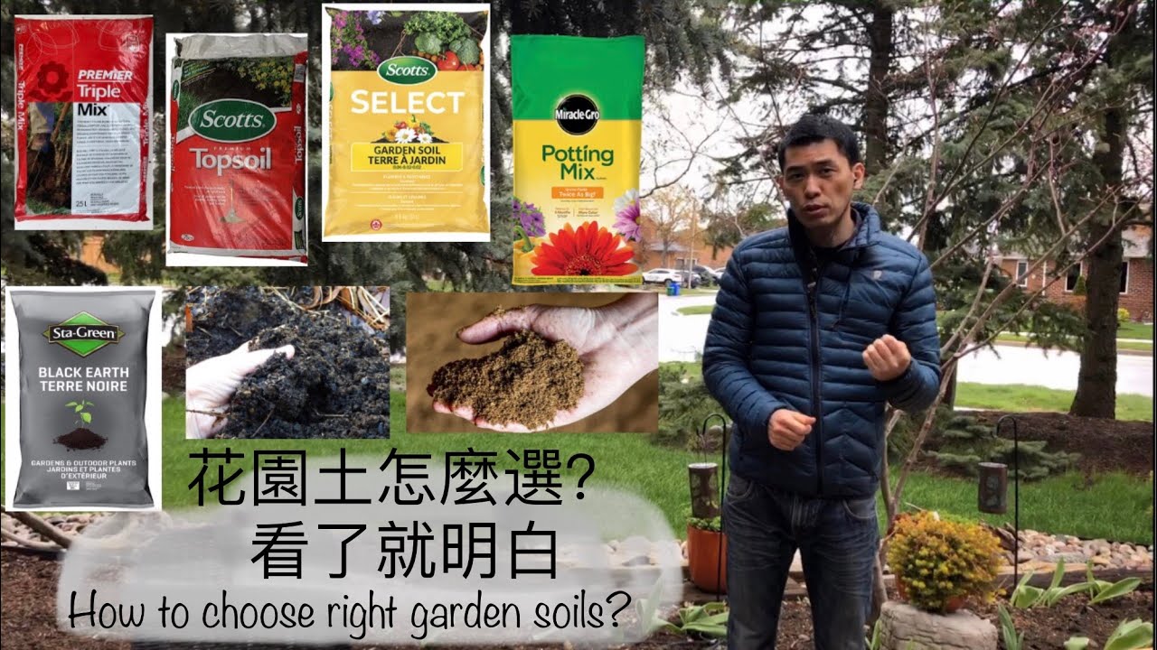 几分钟搞清楚各种“花园土”  How to choose right soil?