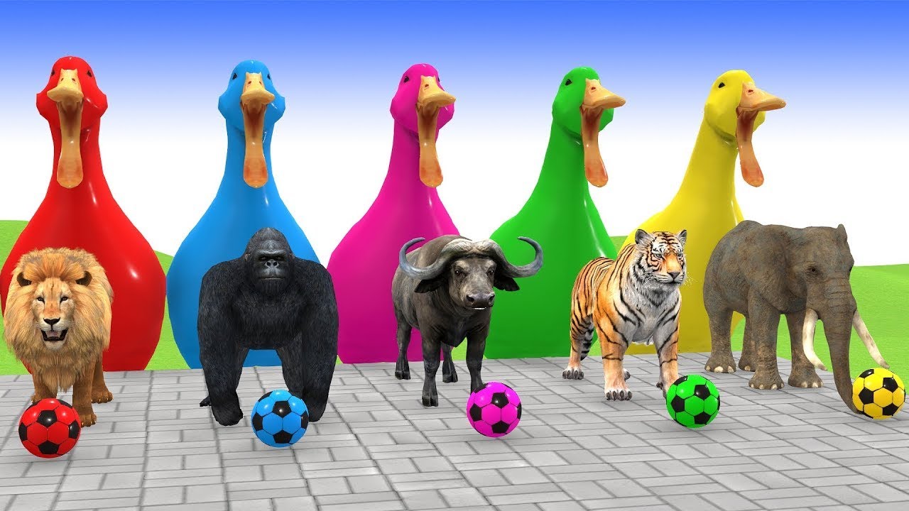 Long Slide Game With Cow Elephant Gorilla Hippopotamus Tiger - 3d Animal Game - Funny 3d Animals