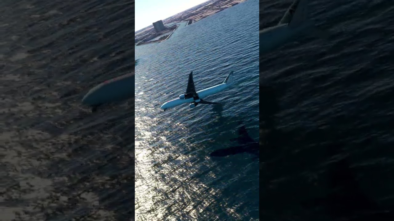 Emergency, scary landing at Seeb airport ,game