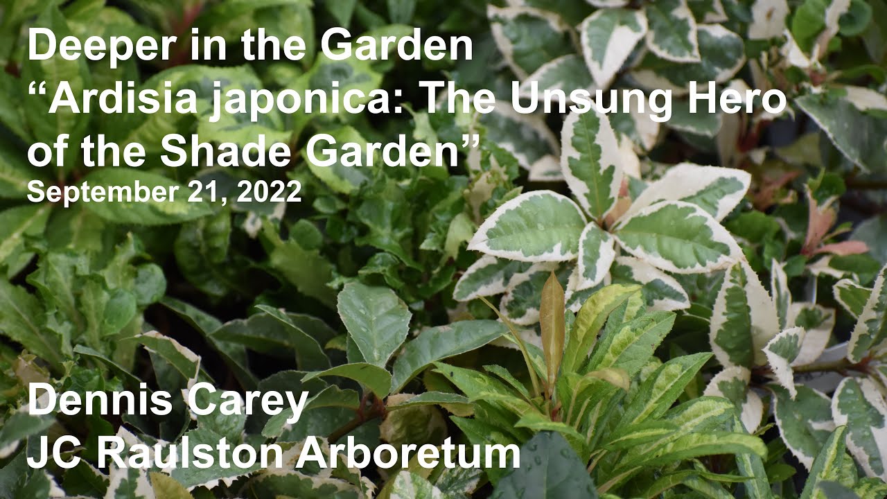 Deeper in the Garden - 