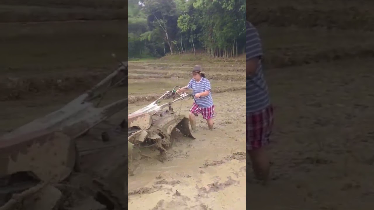 The power of Agriculture 