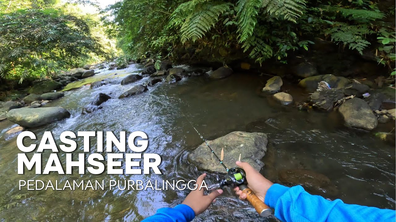 MENCARI IKAN EKSOTIS | CASTING MAHSEER DI PEDALAMAN PURBALINGGA