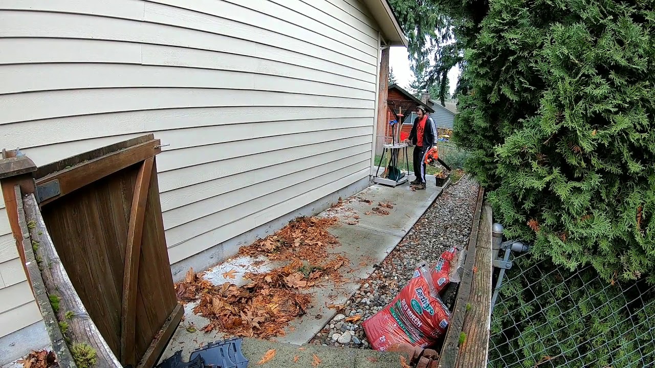 Fall Cleanup 2017 #timelapse
