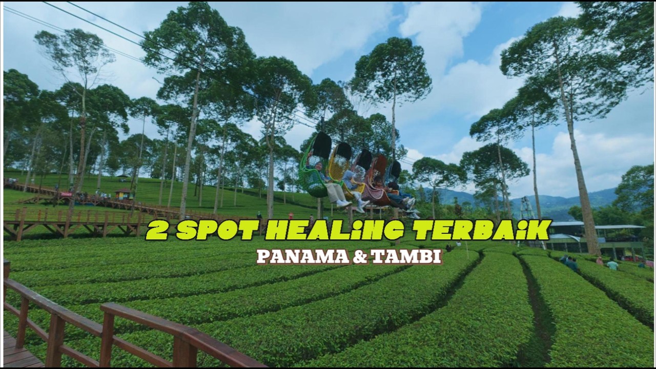 WAJIB KE SINI! 2 Spot Healing Kebun Teh Terbaik di Wonosobo : Panama & Tambi!