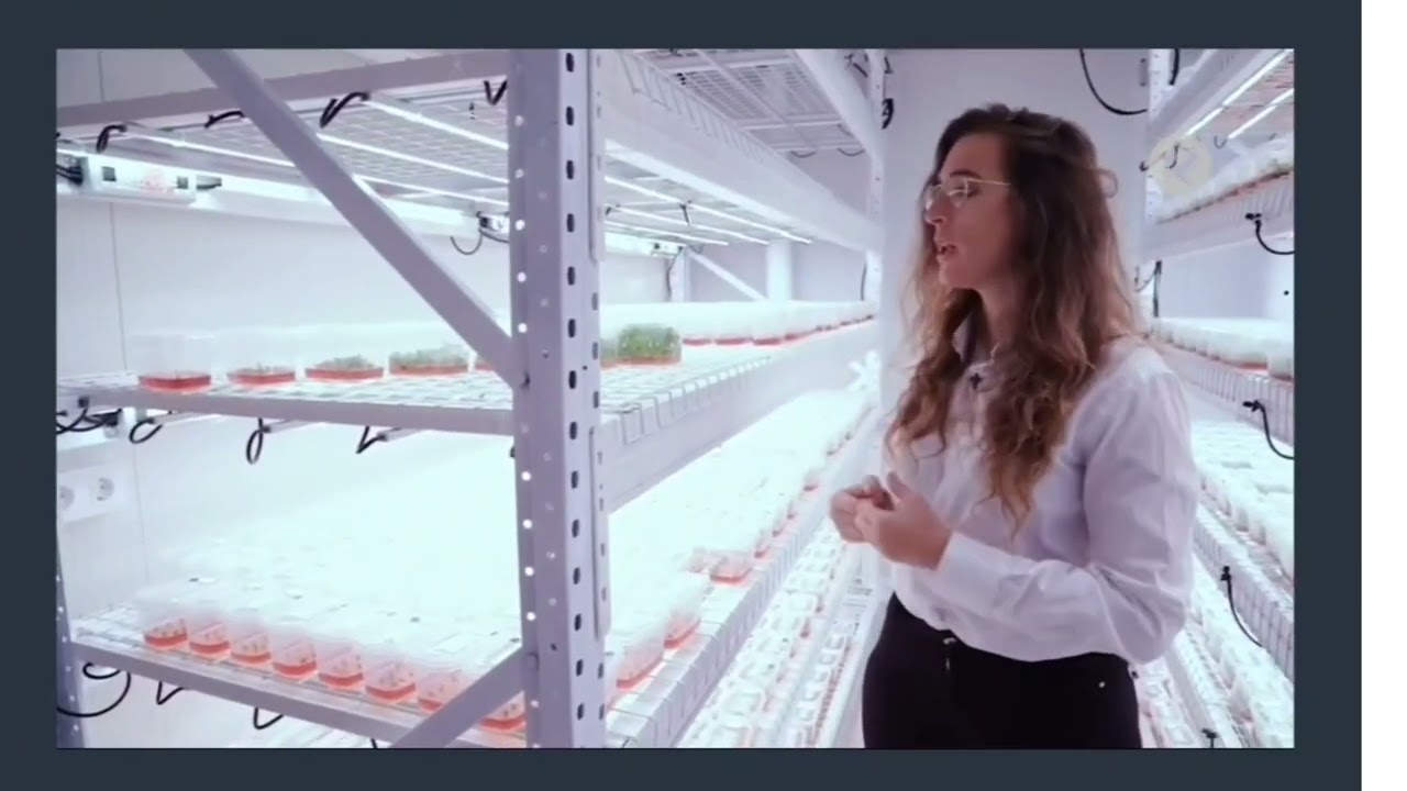 La Besana en Verde conoce el Laboratorio Nogalnature