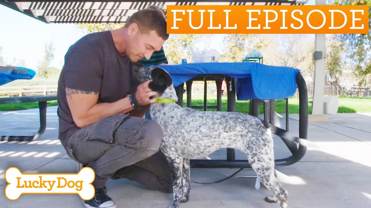 Sweetest Rescue Dog Brings Comfort After Tragic Loss | Full Episode S5 E18